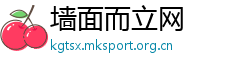 墙面而立网